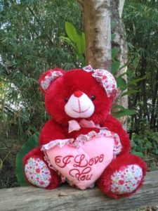 Boneka Teddy Bear Topi Katun merah
