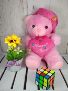 Grosir-Boneka-Teddy-Bear-Vonel-L