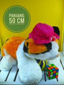 Grosir Boneka Kucing Topi L