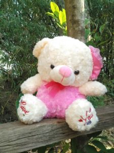 Boneka Teddy Bear Pompom Pink