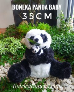 Panda-Baby