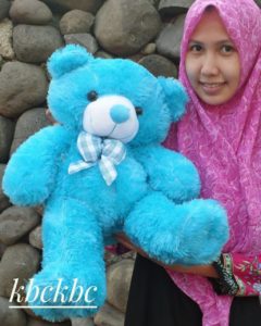 bear-import-xl