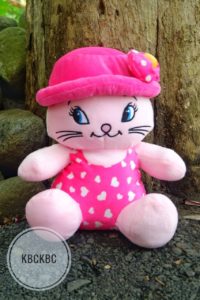 mery-cat-topi-fanta