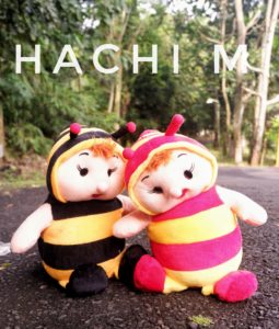Hachi-M