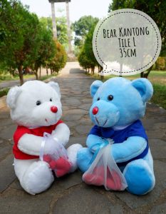 Grosir-BONEKA-Teddy-BEAR-KANTONG-TILE-L-35-CM