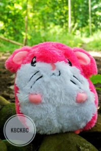 hamtaro-2