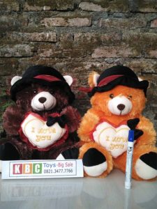 Bear-Topi-Koboi