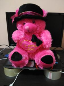 Bear-koboi-fanta