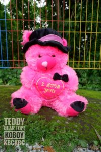 bear-topi-koboi