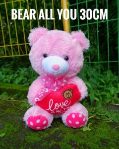 boneka teddy bear all you