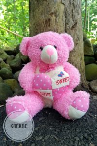 bear-kriting-pink