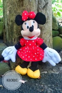 minnie-M
