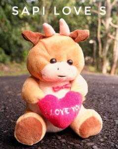 Sapi-Love-S