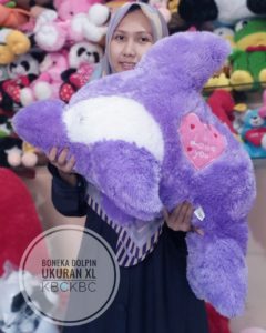 dolpin-xl-2