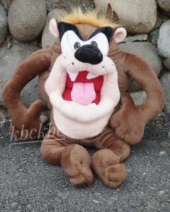 tazmania