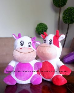 sapi-warna-warni