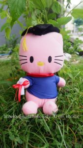 boneka-wisuda-hello-kitty