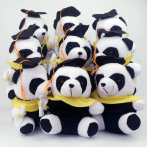Panda-wisuda-mini2