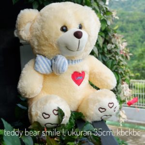 bear-smile-2
