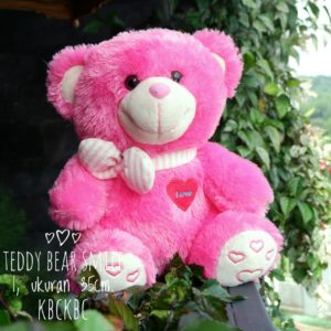 bear-smile-6