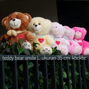 bear-smile-7