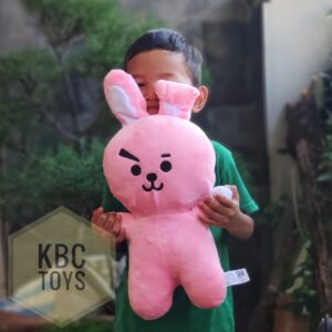 http://pusatgrosirboneka.com/wp-content/uploads/2020/11/BTS-STANDING-CHOOKY.jpeg