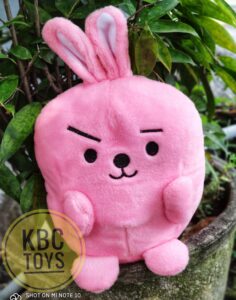 http://pusatgrosirboneka.com/wp-content/uploads/2020/11/Bantl-BTS-Mini-3.jpeg