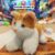 Boneka