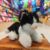 Boneka