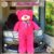 TEDDY