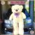 TEDDY