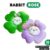 RABBIT