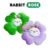 RABBIT