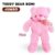 TEDDY