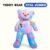 TEDDY