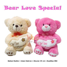 BEAR LOVE SPECIAL – KBC TOYS